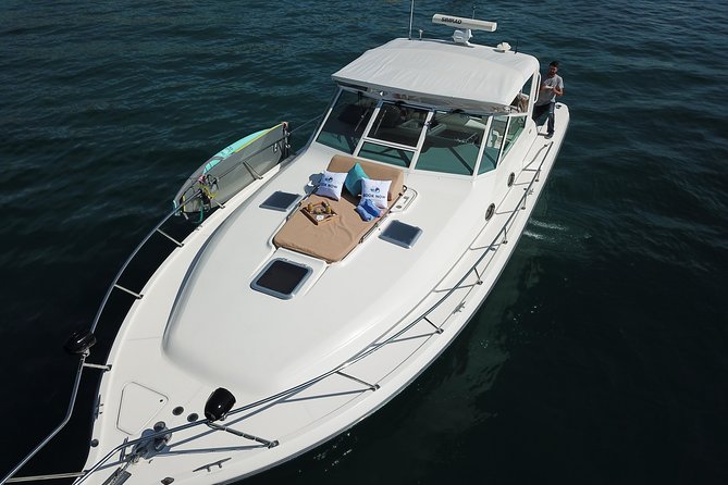 Private Yacht Cruise 4 Hour- Snorkeling & Paddle Boarding - Customer Reviews and Feedback