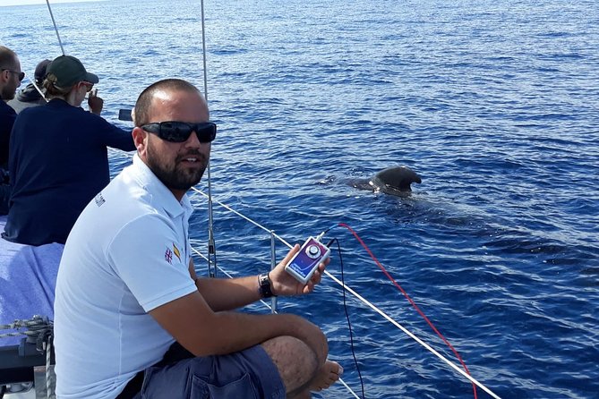 Private Yacht Tour With Whale and Dolphin Watching 42 Foot Boat - Booking Information