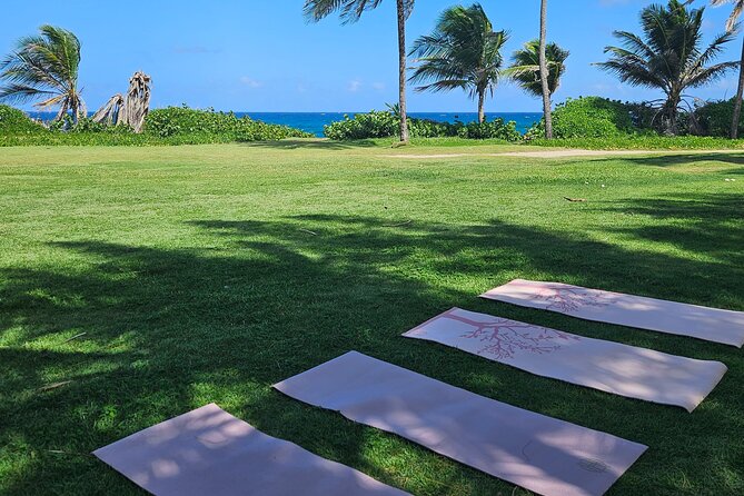 Private Yoga Class at the Beach With Transportation From San Juan - Cancellation Policy