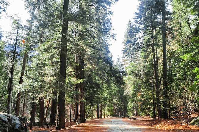 Private Yosemite National Park Day Trip From San Francisco - Meeting and Pickup Process