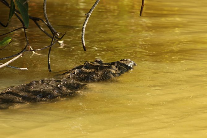 Private Yucatan Discovery Tour - Review Insights