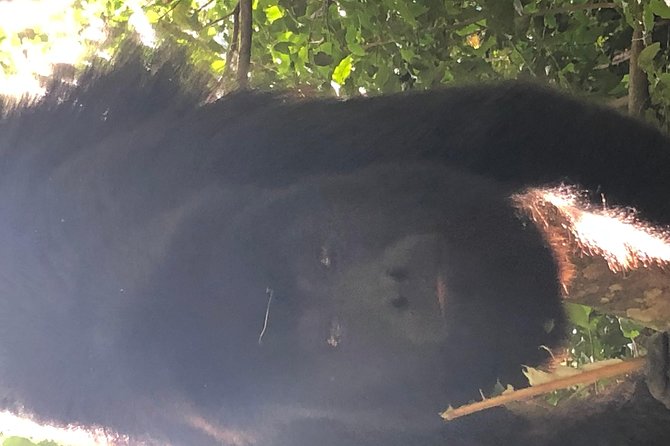 PRIVATE Zipline & Baboon Sanctuary Experience - Health and Safety Considerations