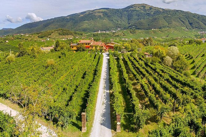Prosecco and Cheese Tasting. From Venice. Full Day - Scenic Views of Prosecco Region