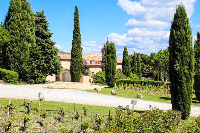 Provence - Mont Sainte Victoire in Search of Cézanne Private Wine Tour - Reviews and Ratings
