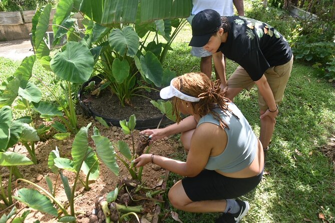 Puerto Rico Agritourism Tour - Booking Information