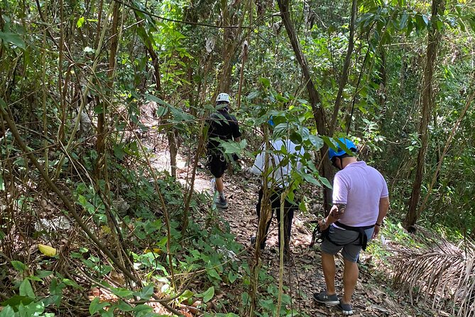 Puerto Rico Rainforest Adventure Trail Trio - Exploring the Puerto Rico Rainforest