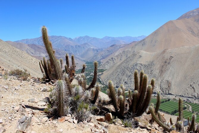 Puritama Canyon and Guatin Trekking - Questions About Your Stay
