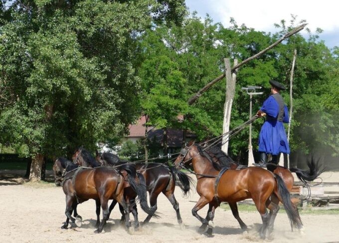 Puszta Tour and Horse Show - Tips for a Memorable Experience
