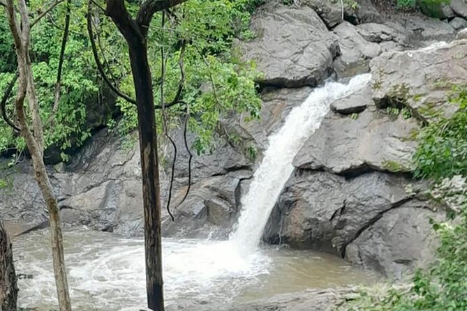 Quad Tour in Guanacaste With Pickup - Quad Adventure in Guanacaste