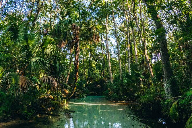 Rainbow Springs: Clear Kayak & Snorkel Eco Tour - Paddling and Hydration Requirements
