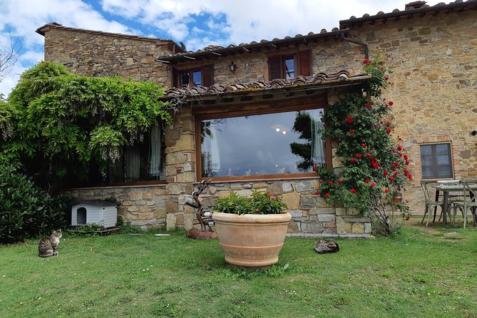 Ramble Through the Rolling Hills of Chianti With Lunch & Wine Tastings - Pricing and Reviews