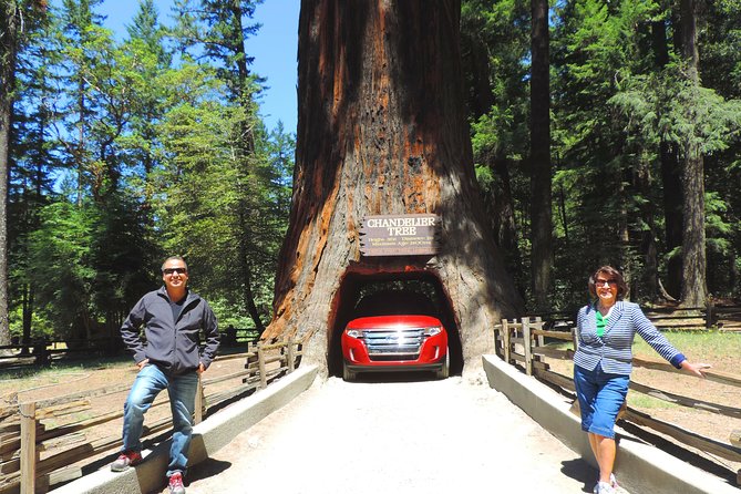 Redwood National Park Tour 2-Day Private Tour Package Hotel Included - Pricing Information