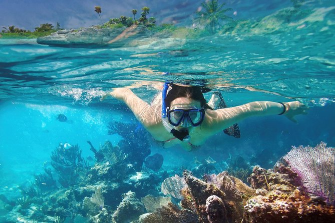 Reef Snorkel In National Park In Puerto Morelos With Lunch And Transportation - Snorkeling Safety and Guidelines