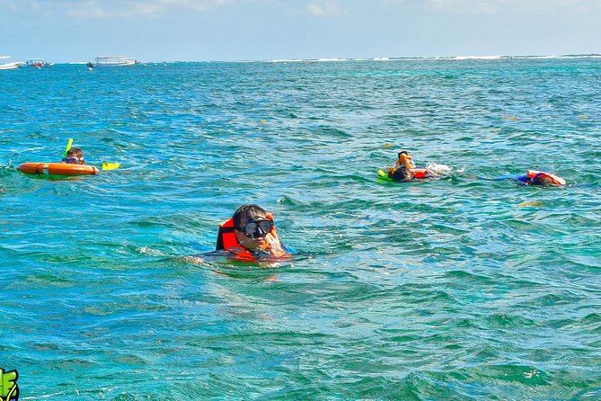 Reef Snorkeling in National Park From Cancun With Beachside Lunch - Pickup Points and Logistics