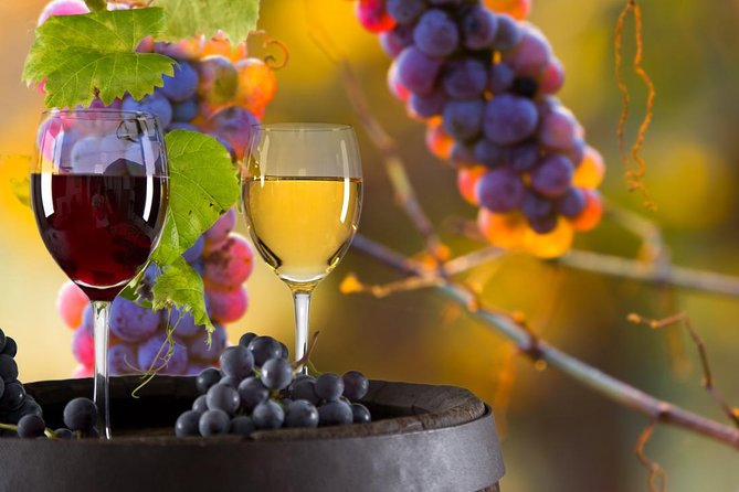 Relaxing Wine Tour With Food & Wine Tasting - Umbria - Wine Tasting Experience
