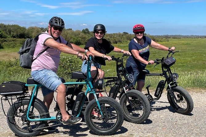 Retro E-Bike Hire Experience Exploring the New Forest Coastline - Scenic Route Highlights