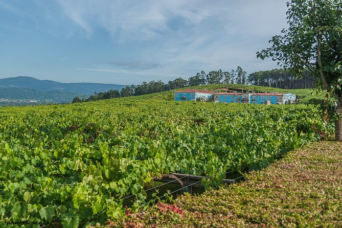 Rías Baixas Private Tour From Santiago De Compostela - Meeting and Pickup Information