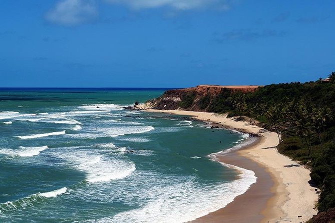 Ride To Pipa South Coast Rn - Private Van - Customer Reviews