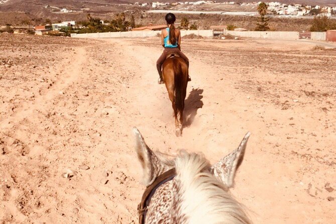 Riding 2 Hours Along the Maspalomas Route - Reviews and Ratings