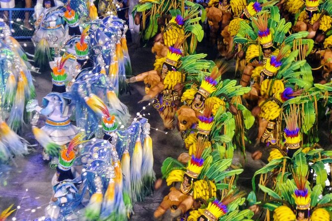 Rio De Janeiro Costume Experience in the Carnival Parade & Transfer - Accessible for Wheelchair Users