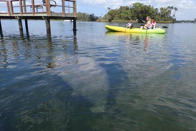 River Cruise Tour With Manatee Viewing - Accessibility Information
