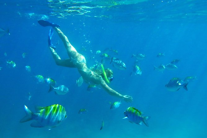 Riviera Maya Luxury Snorkeling Cruise With Lunch and Drinks - Customer Feedback and Ratings