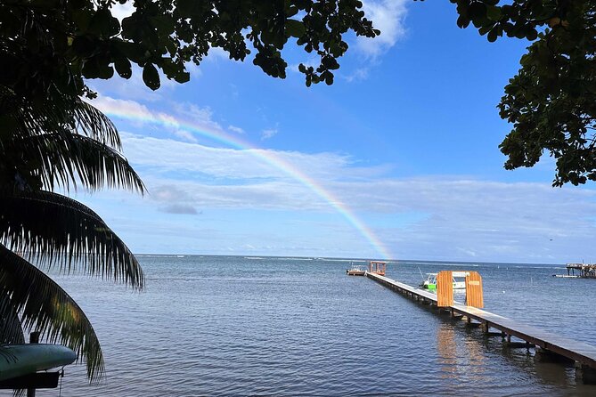 Roatan 2 Dive Scuba Adventure for Certified Divers - Plan Your Dive