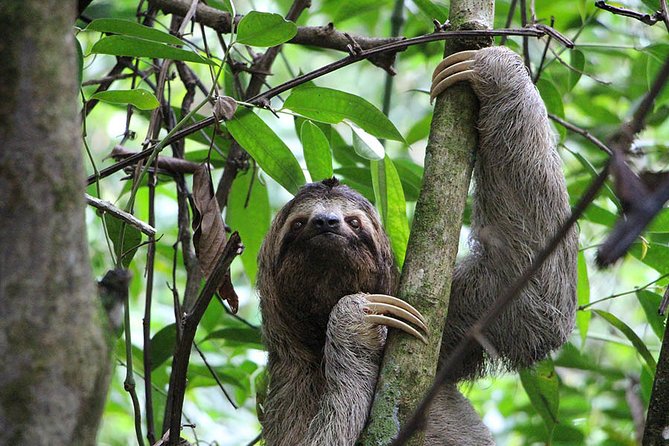 Roatan Manawakie Shore Excursion Eco-Park With Snorkel Adventure - Accessibility and Cancellation