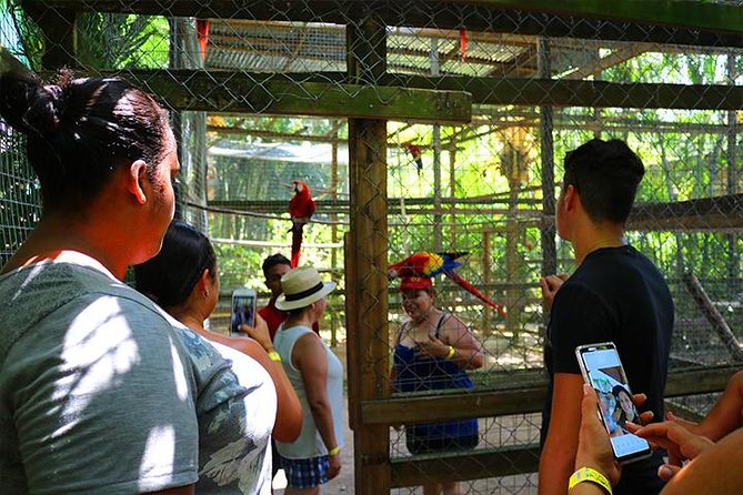 Roatan Sun & Fun Custom Private Island Tour - Customer Reviews