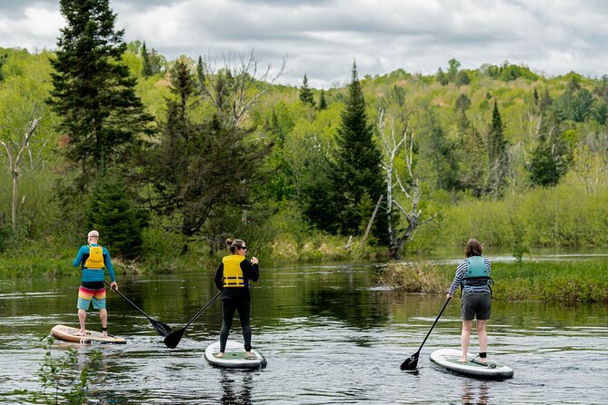 Rollerski Adventures - Booking Information