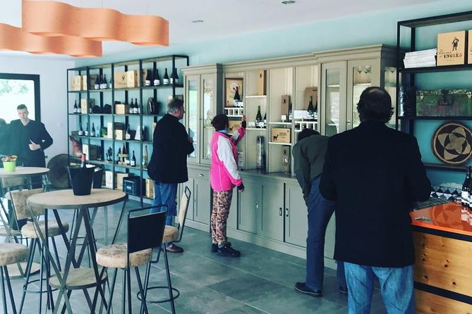 Ronda Private Wine Tour and Tapas From Marbella - Vineyard Stroll
