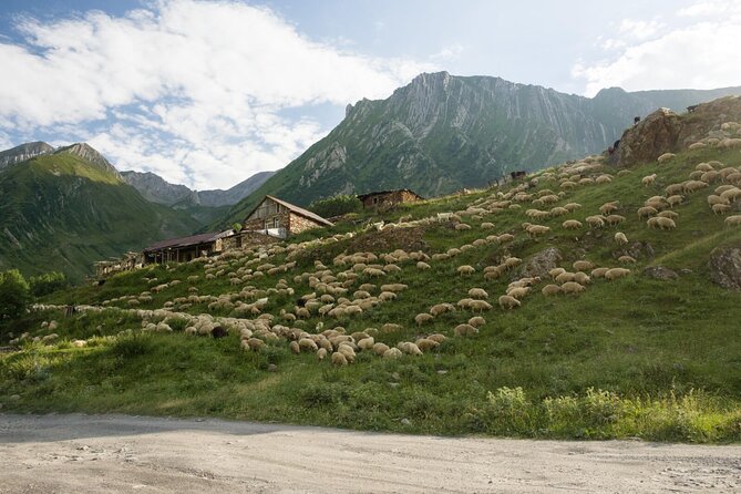 Round-Trip Bus Transfer to Truso Valley From Kazbegi - Operational Notes