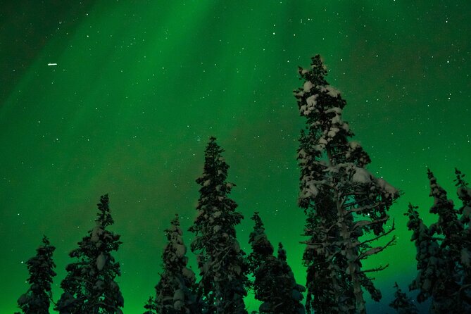 Rovaniemi 2-Day Santa Village, Northern Lights & 4 Activities - Snowmobile Safari Experience