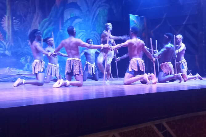 Safari Cat Dancers Show And Dinner - Intimate Group Setting