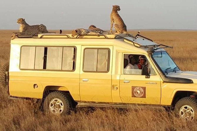 Safari in Tanzania 5 Days: Manyara, Ngorongoro, Serengeti - Safari Itinerary and Schedule
