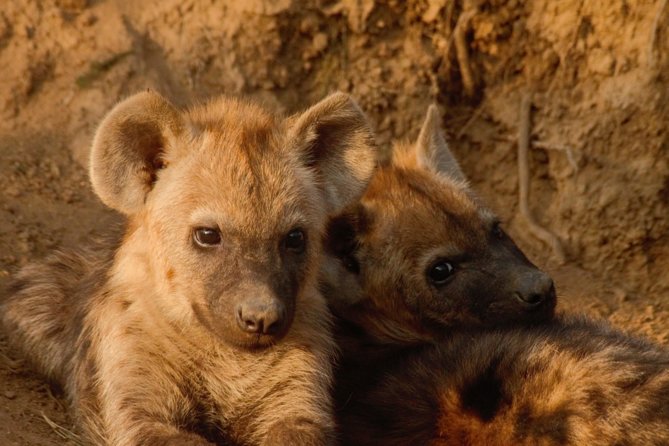 Safari in the Kruger National Park - 4 Days-All Inclusive & Private - Participant Requirements