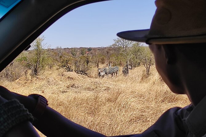 Safari in Victoria Falls and Zambezi National Park - Traveler Information