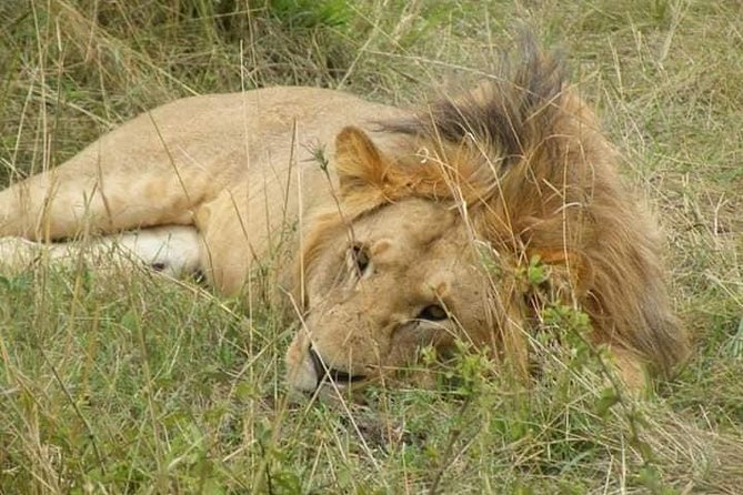 Safari Kenya With Patrick - Itinerary and Activities