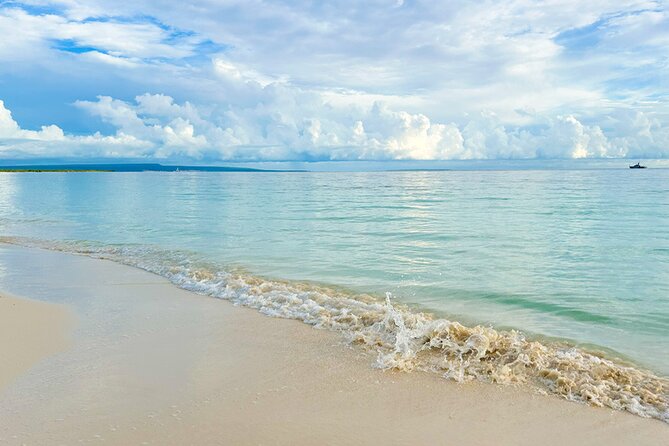 Safari Tour – Paradisiacal Excursion to Bahia De Las Águilas - Culinary Delights and Refreshments