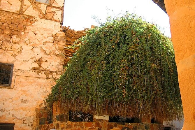 Saint Catherines Monastery & Dahab Day Tour From Sharm EL Sheikh - Exploring Dahab City
