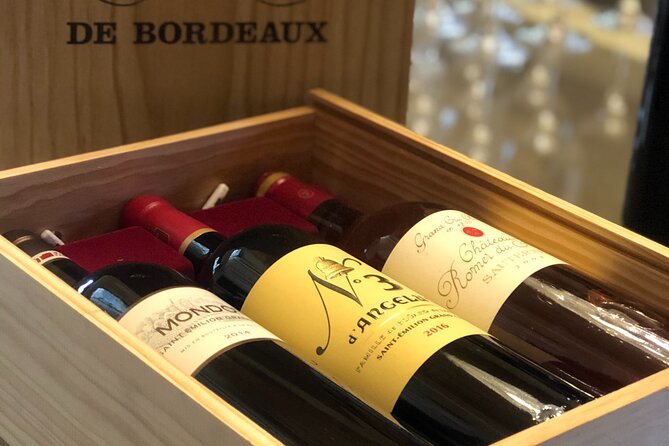 Saint-Emilion and Vineyard Walk With Wine Tasting - Private Walking Tour and Views