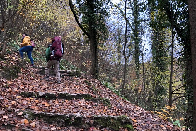 Samobor Town and Castle Walking Tour - Strolling Through Samobors Lush Parks