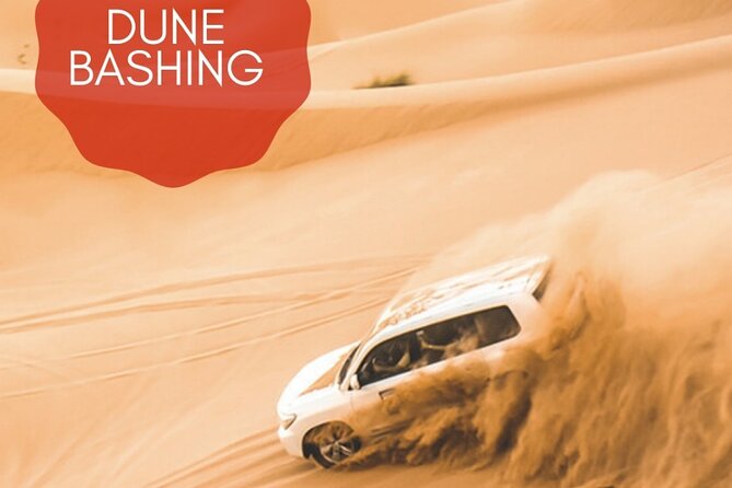 Sand Dunes per Car Half-Day Tour - Interacting With Falcons