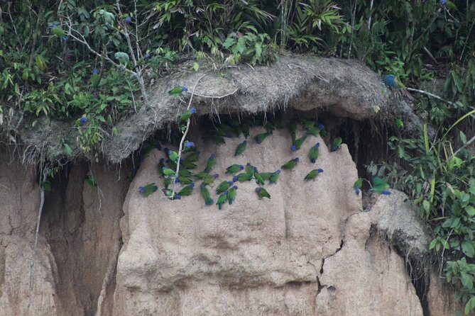 Sandoval, Collpita De Loros and Adventure 4 Days / 3 Nights - Questions About Your Stay