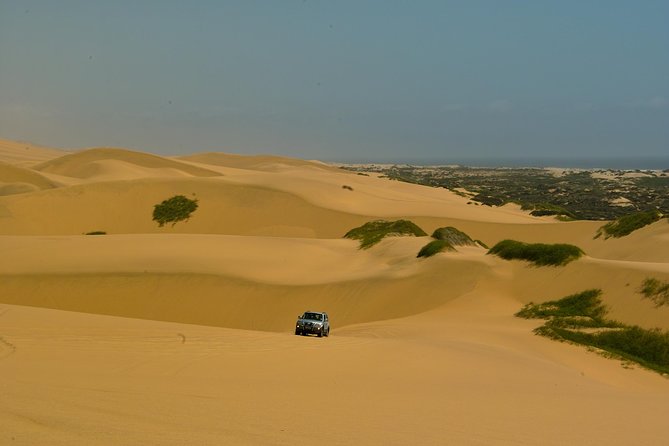 Sandwich Harbour Guided, Self-Drive Tour - Tips for Your Adventure