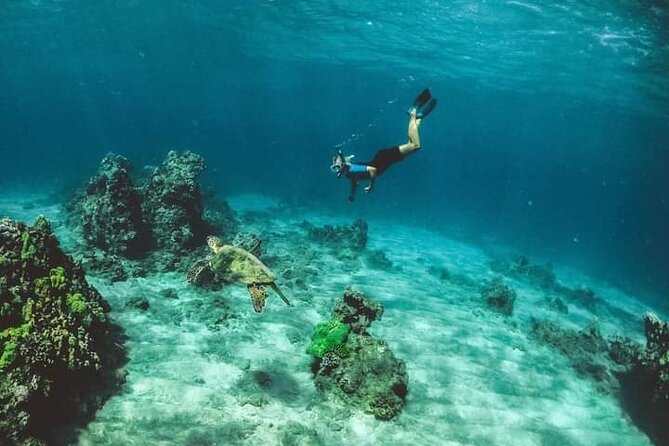 Santa Maria and Chileno Bay Snorkel Adventure Los Cabos - Reviews and Feedback