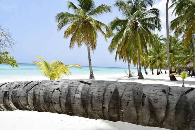Santo Domingo Saona Island Catamaran Tour With Lunch & Bar - Traveler Feedback