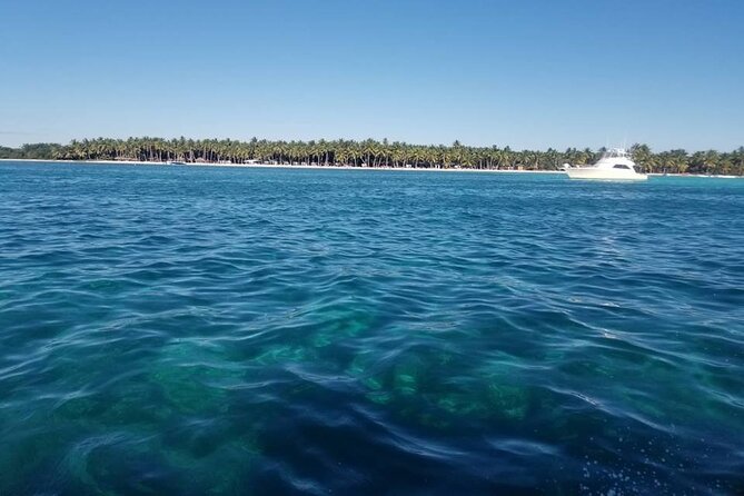 Saona Island Full-Day Tour From Santo Domingo - Reviews