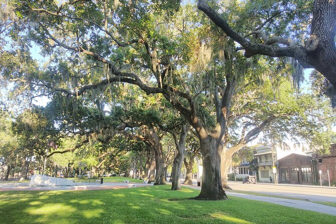 Savannah Irish History Walking Tour Review - Savannah Irish Heritage