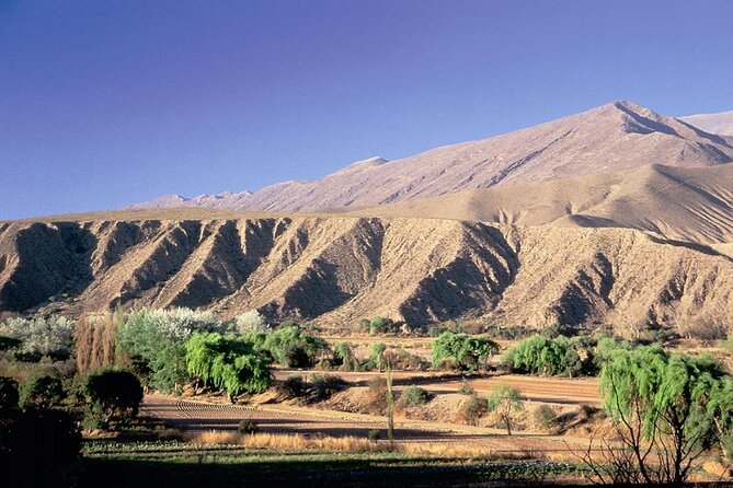 Saver Combo: Cafayate, Humahuaca, Transfer and Free Walking Tour - Guest Reviews and Ratings